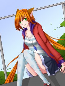 猫咪狐狸闯天下