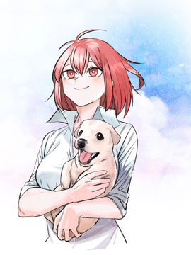 初阶骑士的故事