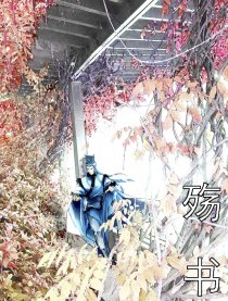 殇书（霹雳布袋戏同人）