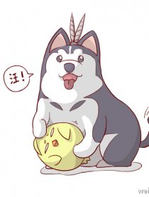 哈萨辛的剑三日记