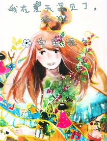 我在夏天遇见了狐狸