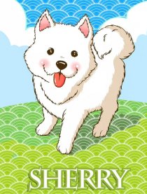 我和雪莉的故事