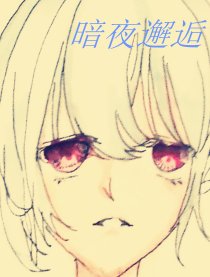 暗夜邂逅