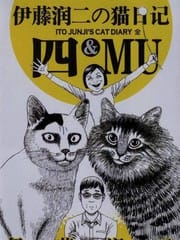 伊藤润二の猫日记