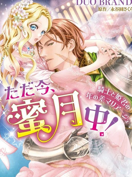 贵族小姐与骑士的蜜月之旅